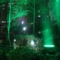 grünes LED-Flutlicht 100 W 300 W 500 W 1000 W