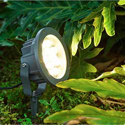 12w rgbw led spotlight