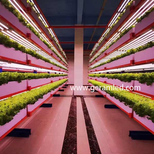 Led tube grow lights online