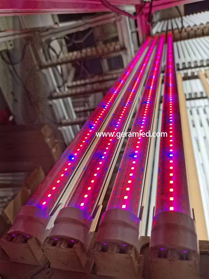 fabricante de luces de cultivo LED comerciales