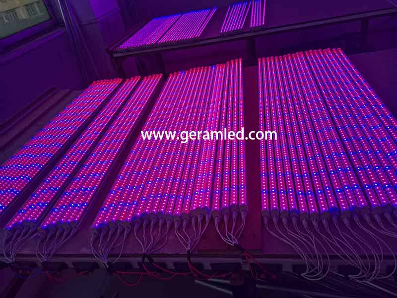 fabricante comercial de luzes led para cultivo