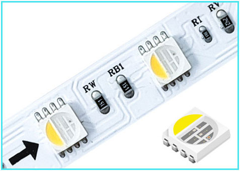 DMX LED Strip Light RGB RGBW DMX512 អាស័យដ្ឋាន